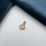 پلاک ون کلیف